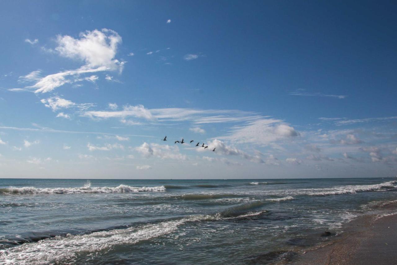 Walk To Shore Satellite Beach Condo With Ocean View المظهر الخارجي الصورة